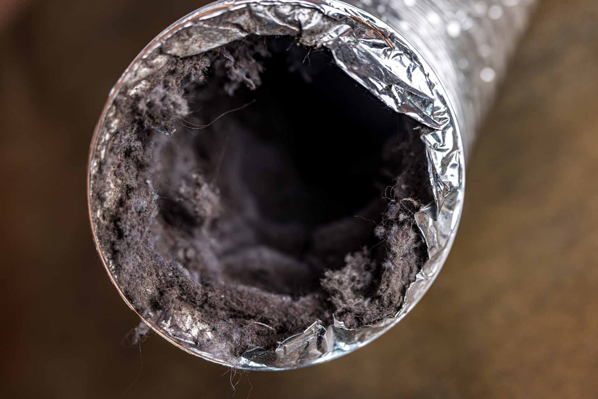 Dryer vent, full of lint and dirt